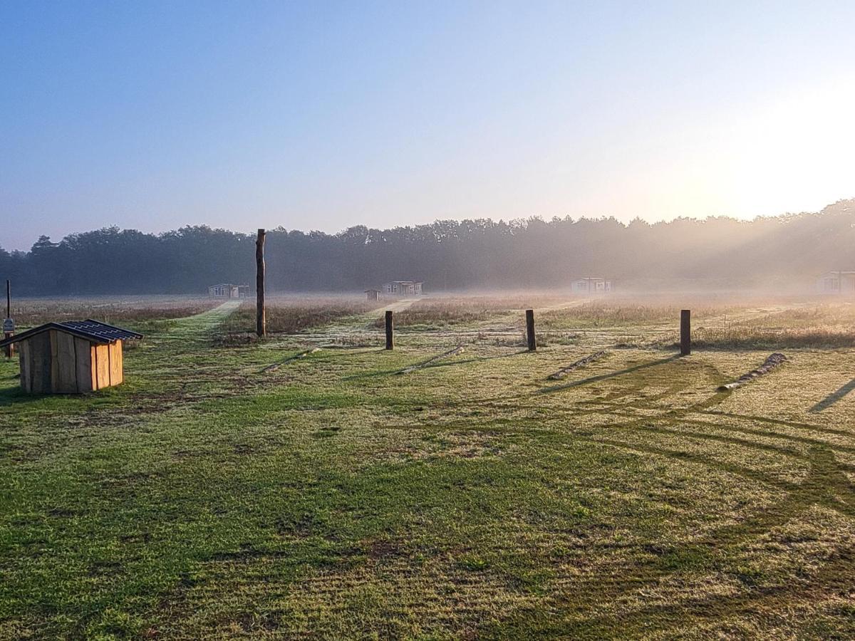 Hoeve Twente - De Buizerd Villa Heythuysen Eksteriør billede